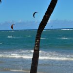 kiters in Cabarete